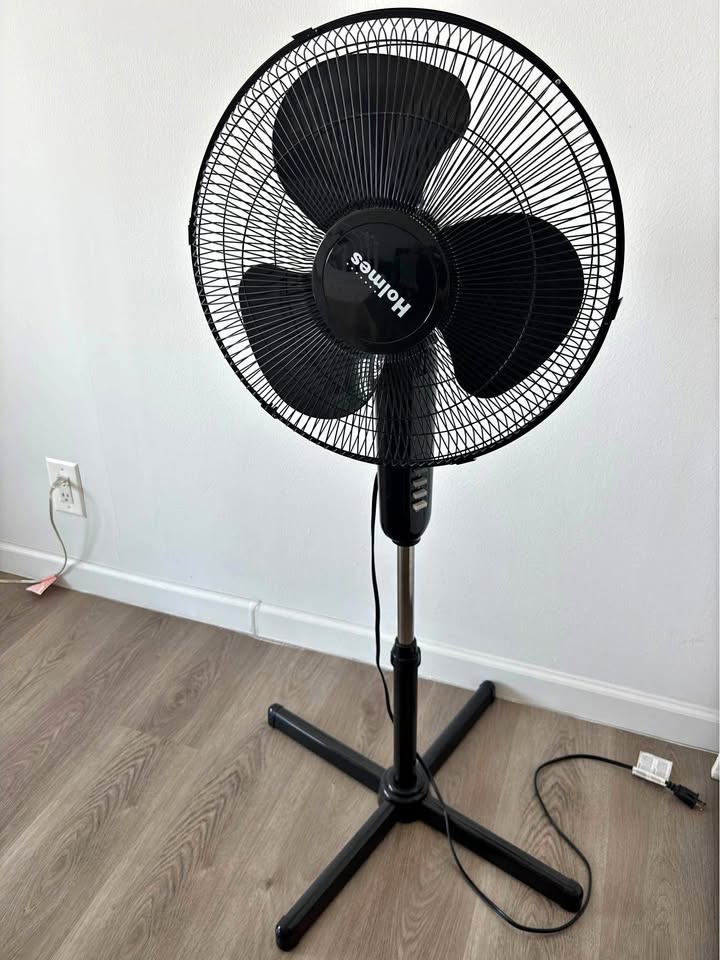 Fan Holmes $15