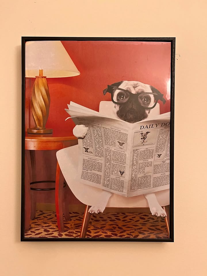 Moving sell black frame dog picture