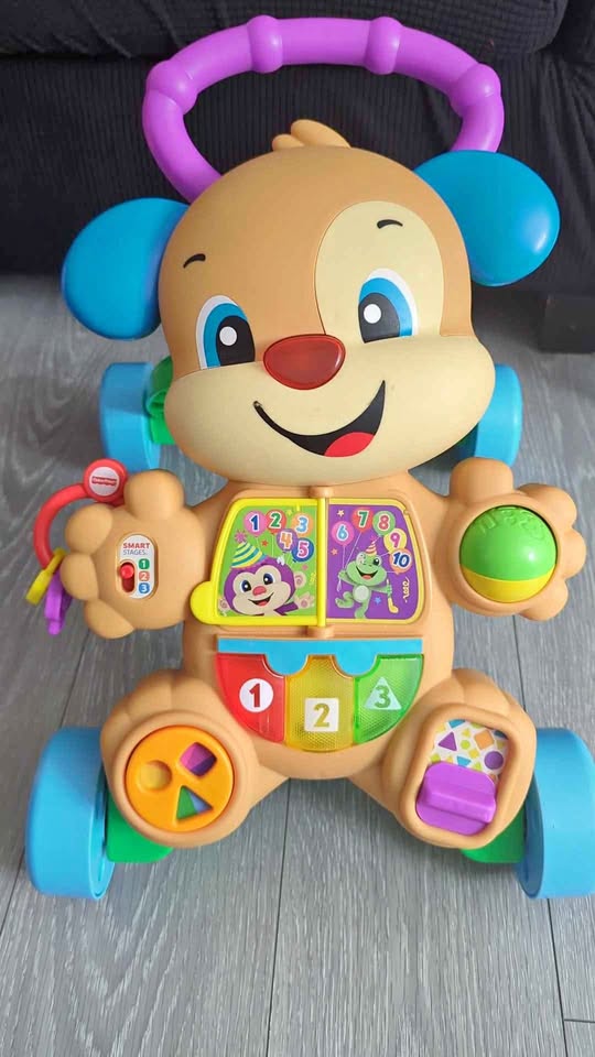 Fisher-Price Puppy Walker