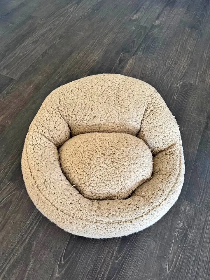 Dog Beds thumbnail