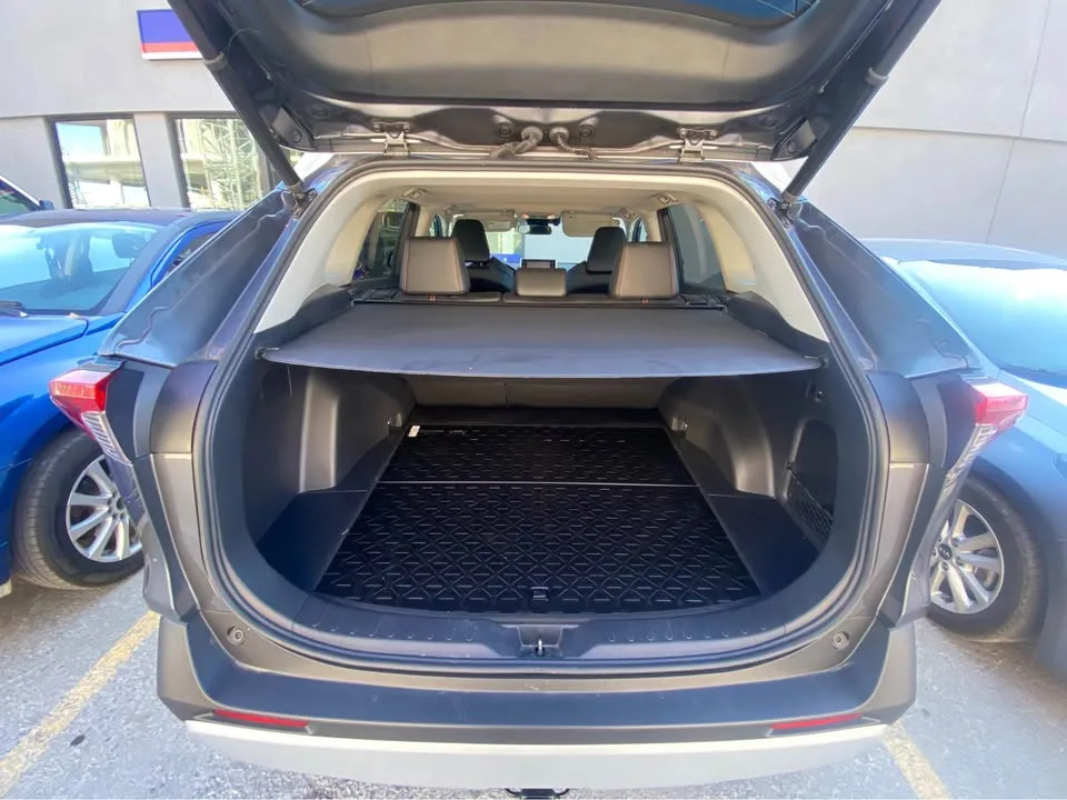 2019 Toyota RAV4 image indicator(3)