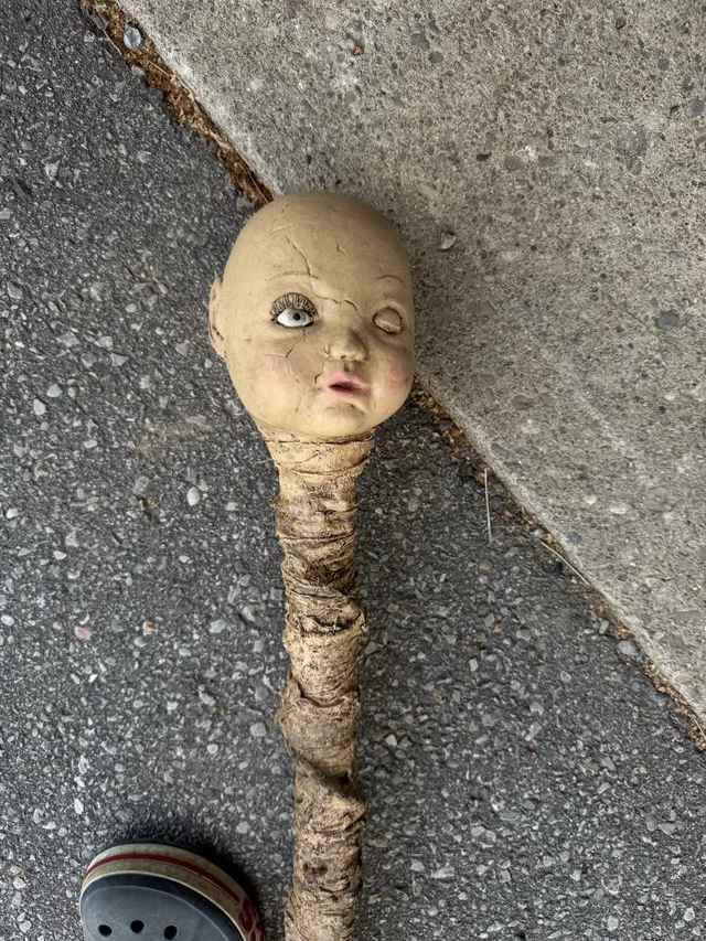 Halloween staff prop 🥕 image indicator(2)