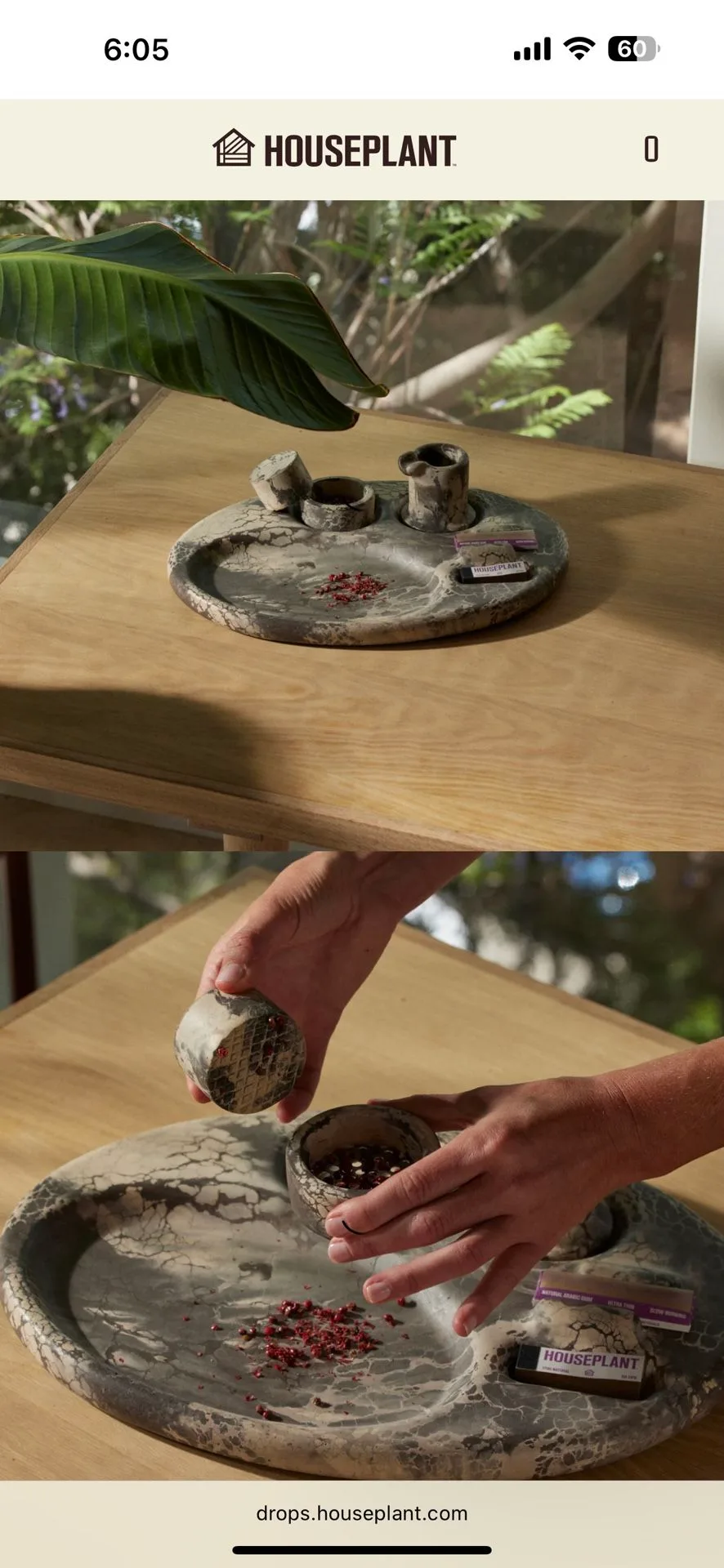 Houseplant Seth Roger Ash tray image indicator(3)