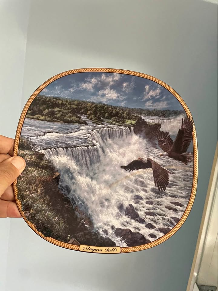 Porcelain plate 8.5” of American eagle over Niagara Falls
