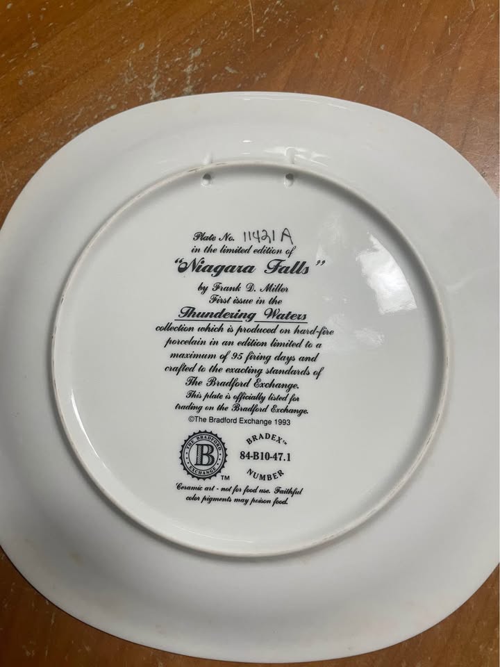 Porcelain plate 8.5” of American eagle over Niagara Falls - photo 2