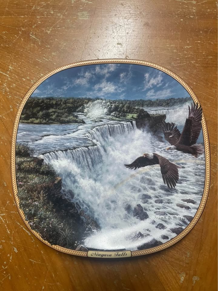 Porcelain plate 8.5” of American eagle over Niagara Falls - photo 3