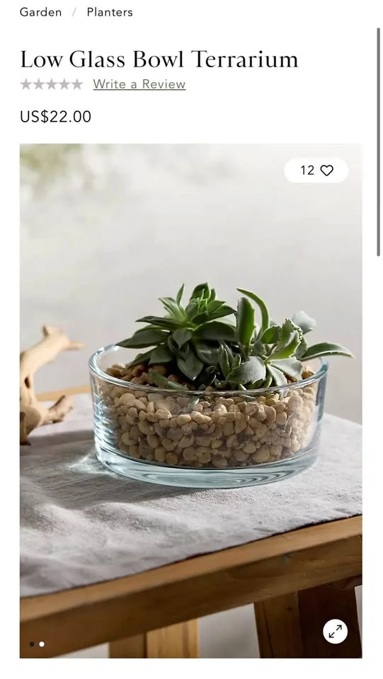 Clear Glass Bowl Terrarium