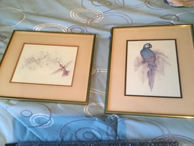 Watercolour Birds - Sold as Pair