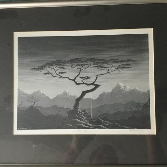 Framed Numbered Print - Croocked Tree by Harold Diachina - photo 3