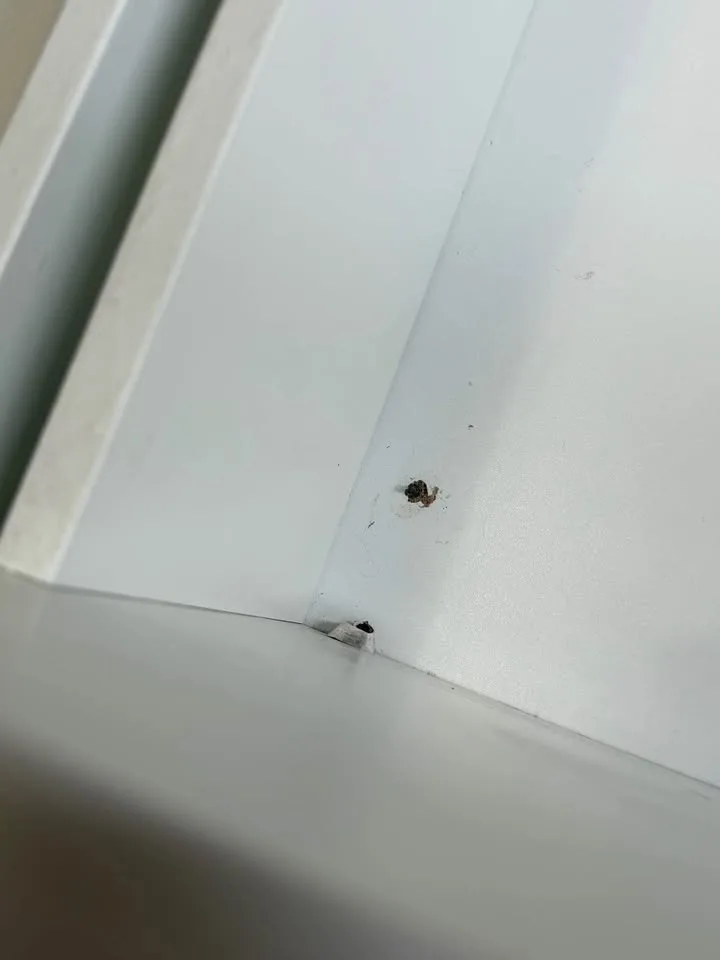 IKEA MALM Twin Bed with 2 Drawers image indicator(6)