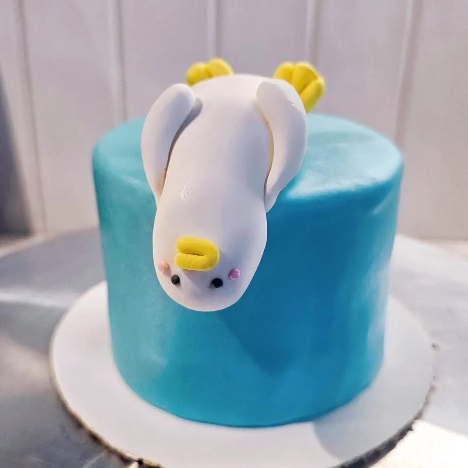 Custom Cakes, Bento cakes and cupcakes image indicator(2)