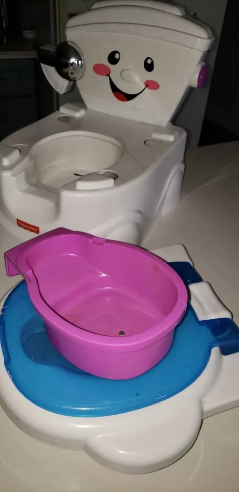 Musical toilet trsining image indicator(2)