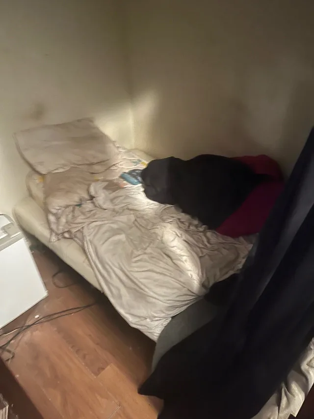 Cozy Private Room For Rent image indicator(3)