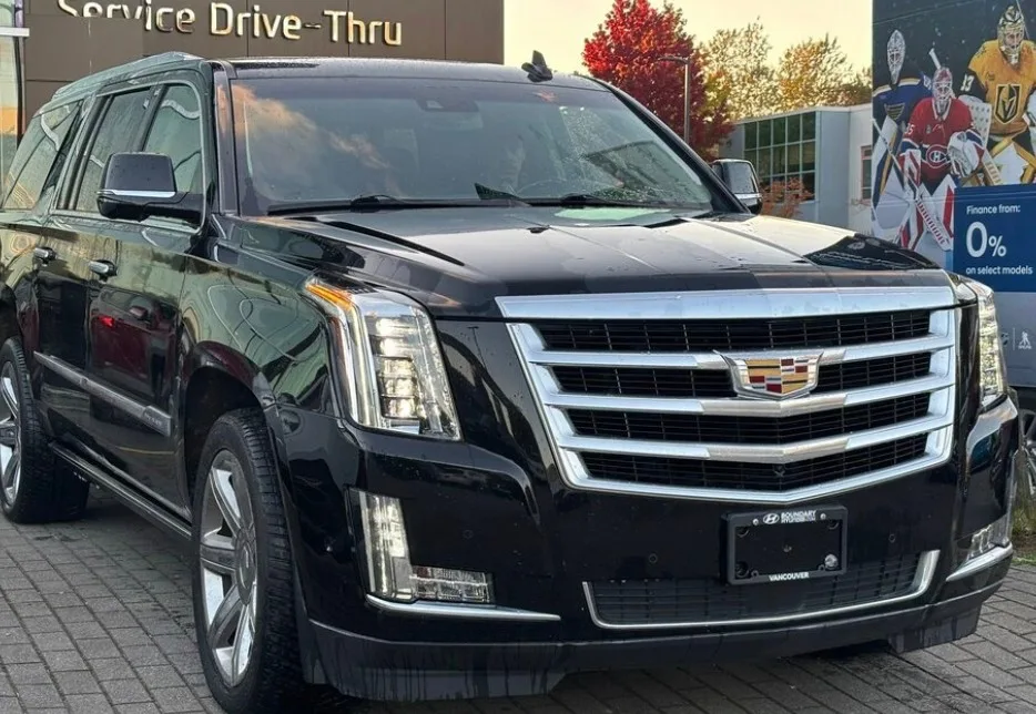 2019 Cadillac Escalade ESV Premium Luxury image indicator(2)