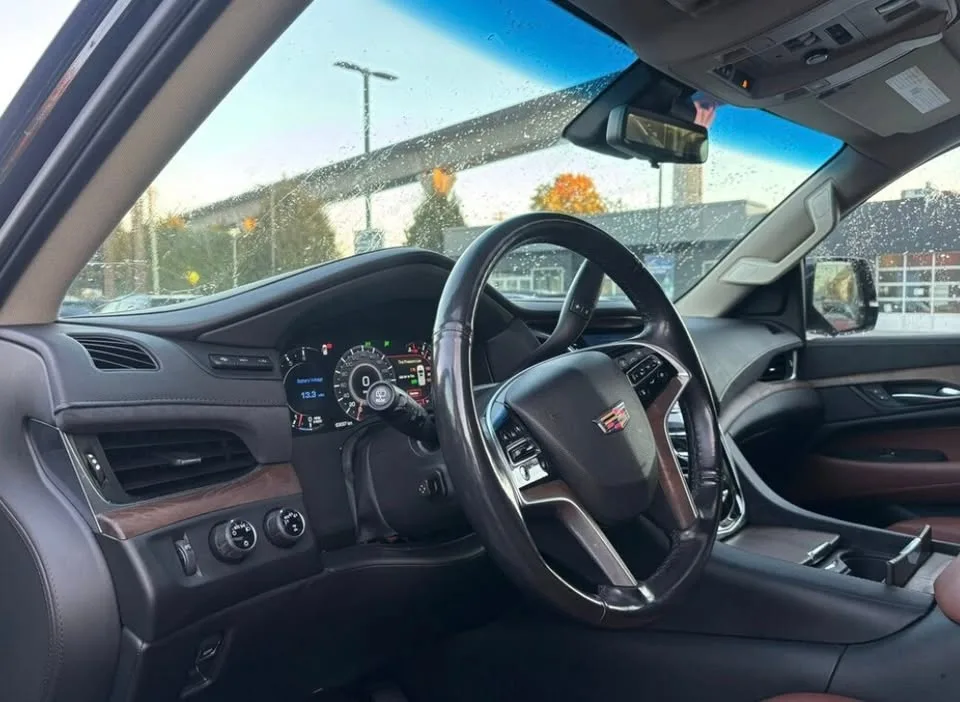 2019 Cadillac Escalade ESV Premium Luxury image indicator(3)