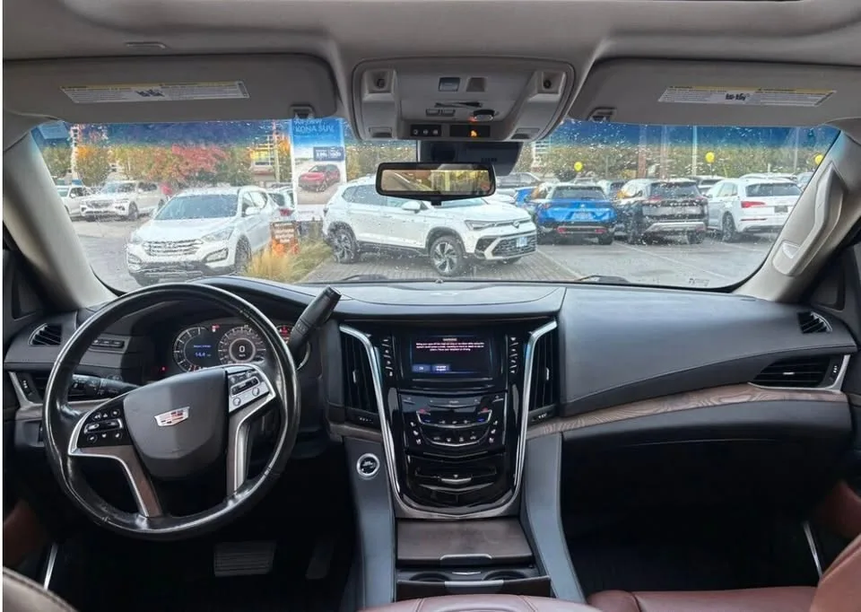 2019 Cadillac Escalade ESV Premium Luxury image indicator(4)
