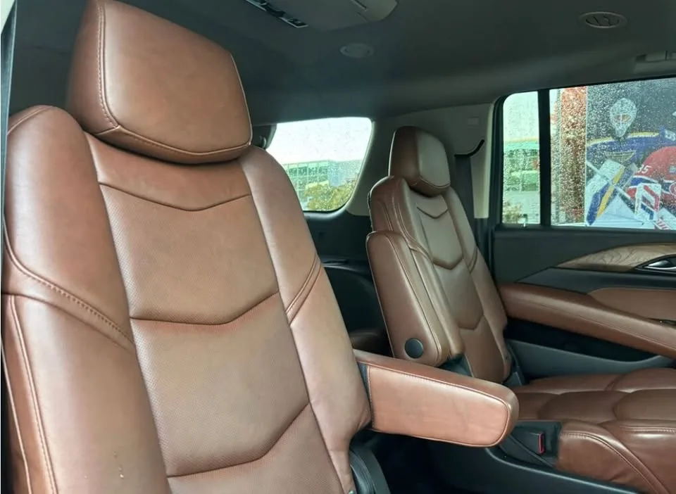2019 Cadillac Escalade ESV Premium Luxury image indicator(6)