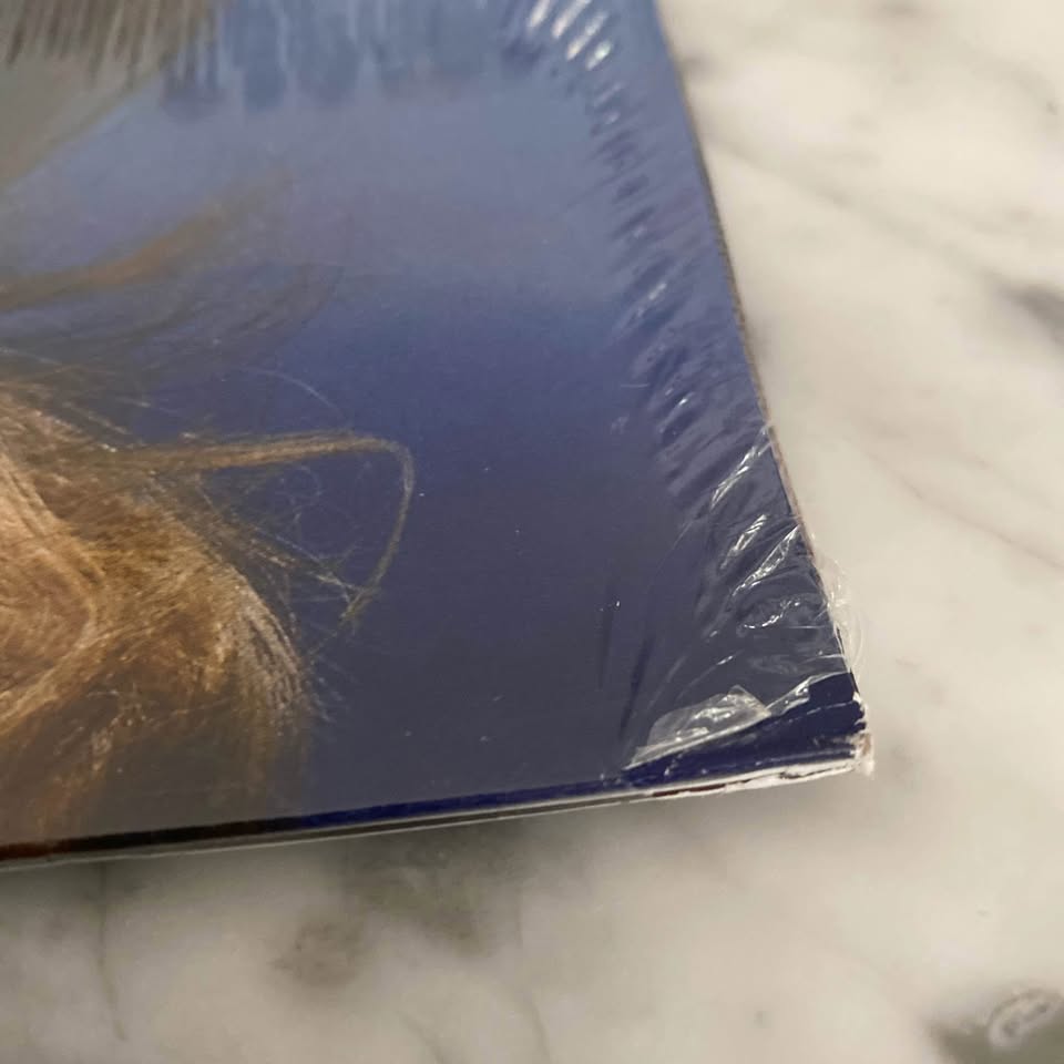 Sabrina Carpenter Short n Sweet Vinyl Record (free delivery) - photo 4