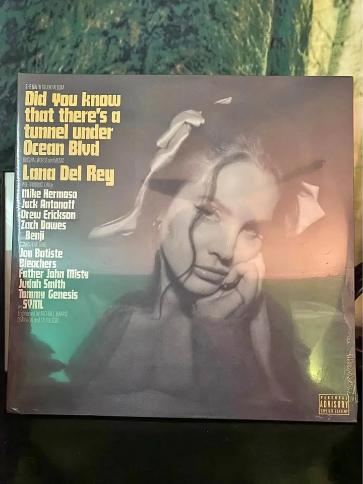 NEW Lana Del Rey Vinyl Record 2LP (FREE LOCAL DELIVERY) thumbnail