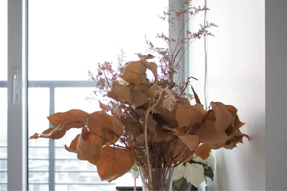 Canon Rebel T5i with accessories image indicator(10)