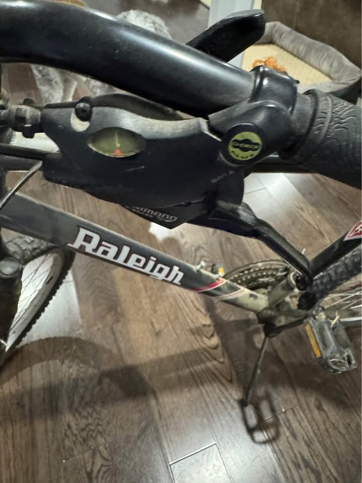 Tomahawk Raleigh Bike - photo 2