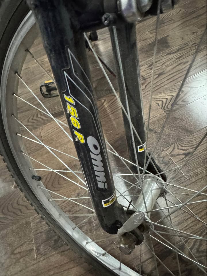 Tomahawk Raleigh Bike - photo 4