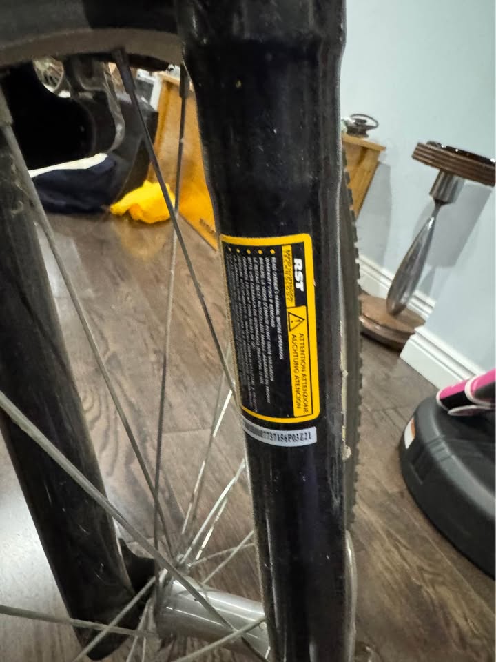 Tomahawk Raleigh Bike - photo 5
