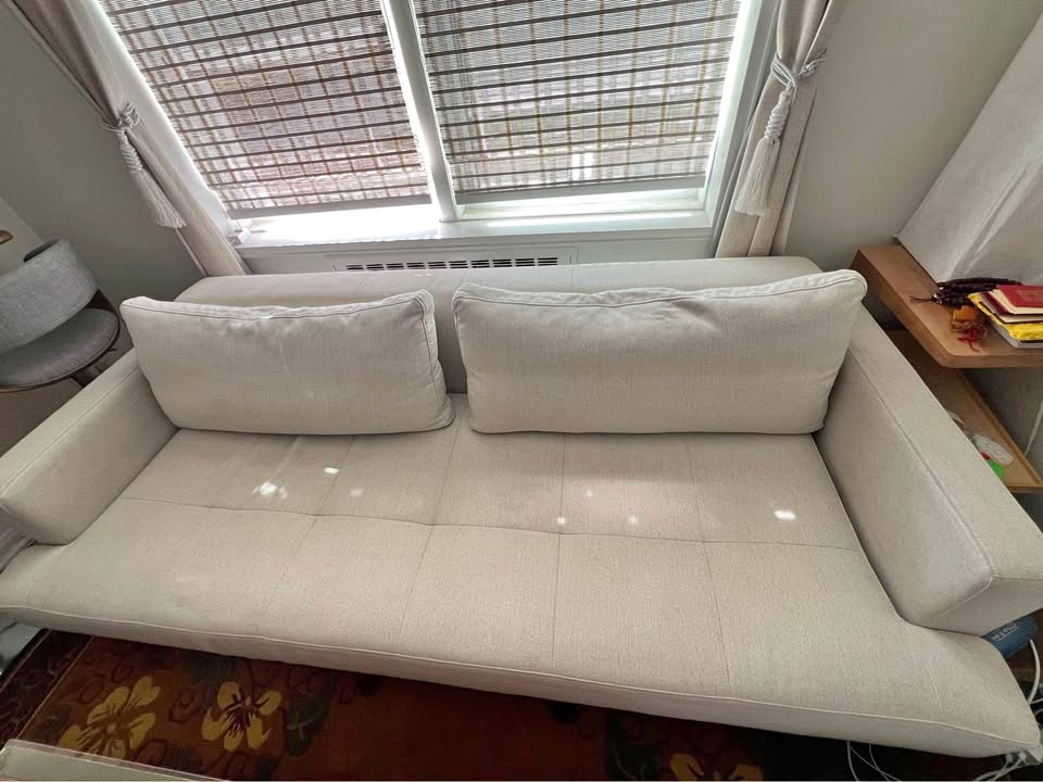 Article Sofa Bed
