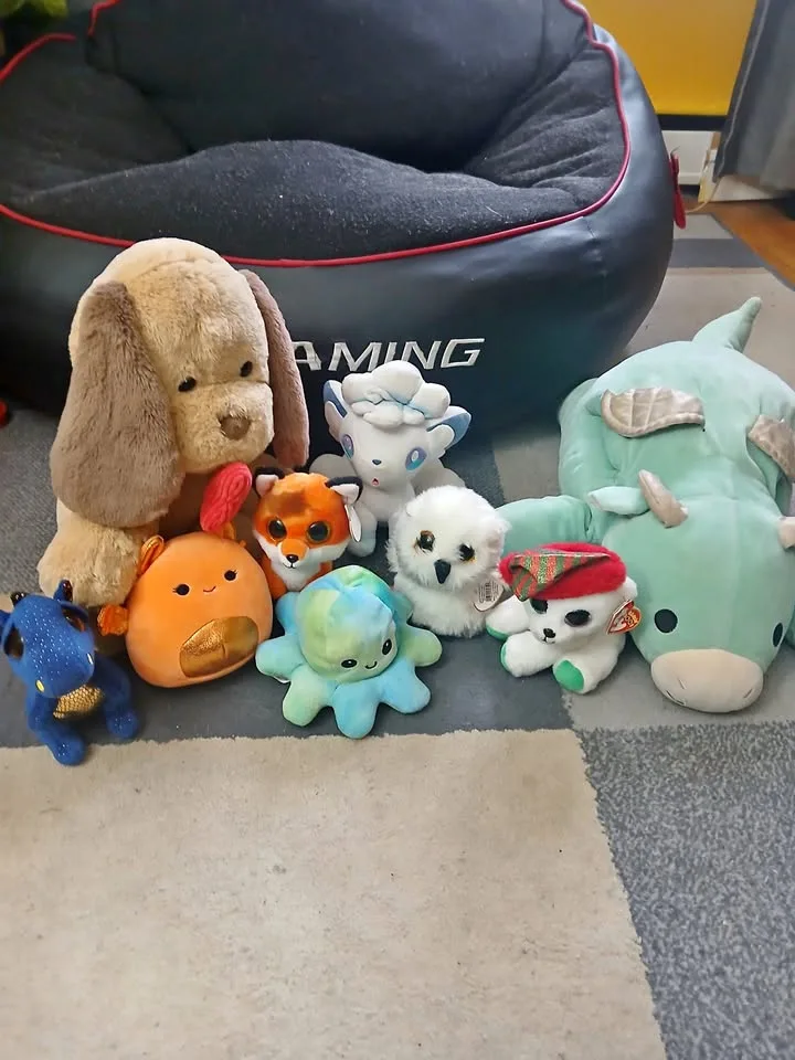 Assorted Plush Stuffed Toys thumbnail