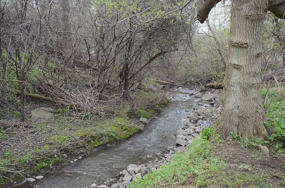 1 Bed 1 Bath - Apartment image indicator(9)