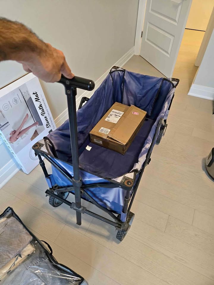 Large Wagon Cart