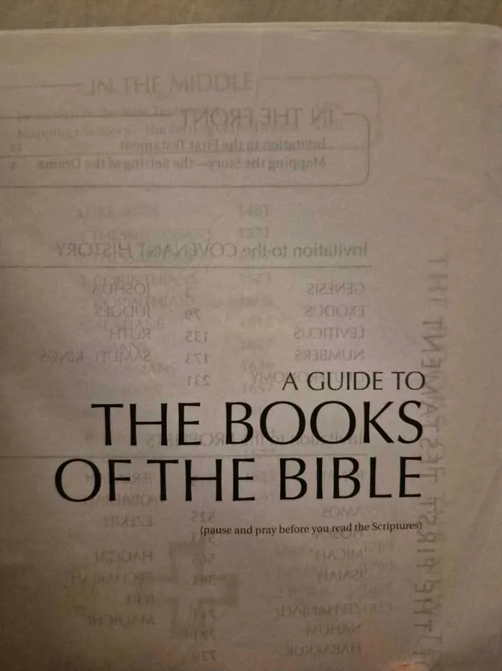 NIV, Books of the Bible, Imitation Leather, Green - brand new image indicator(2)