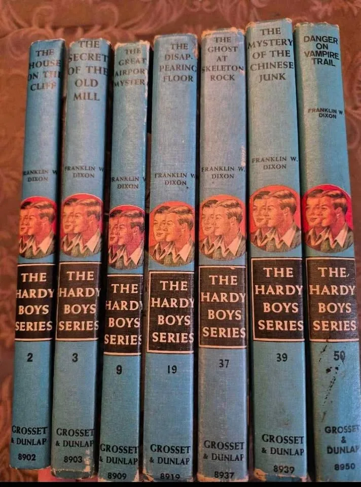 Vintage Hardy Boys books image indicator(2)
