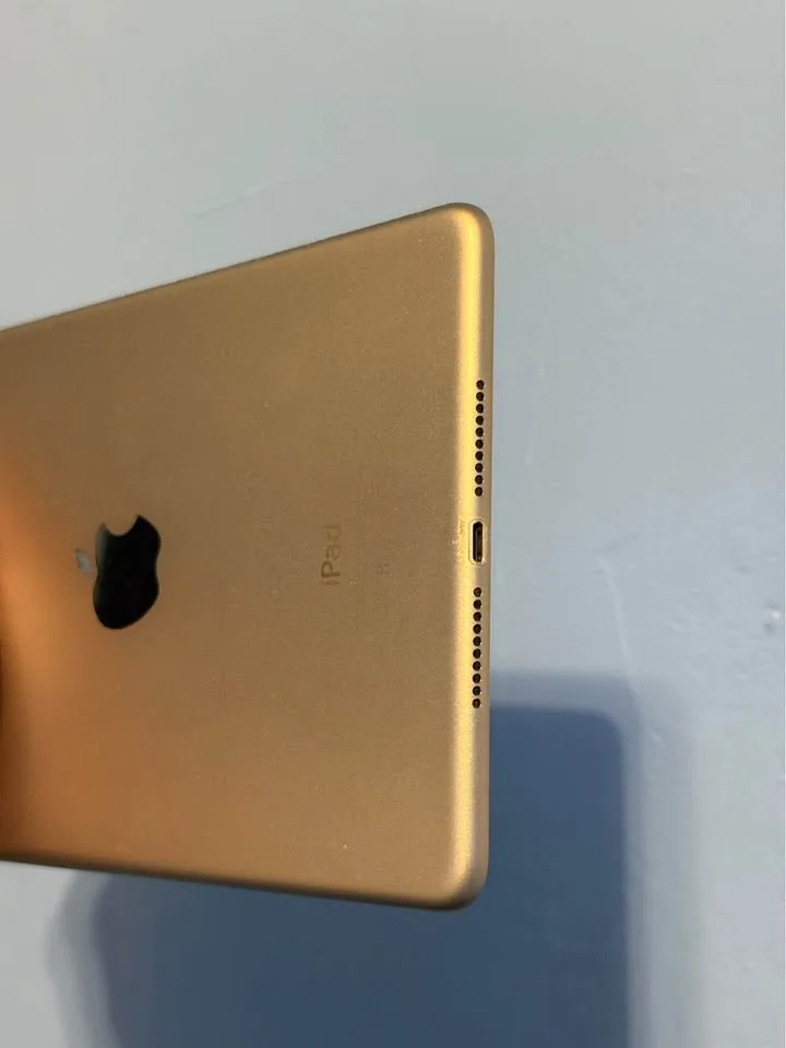 iPad mini 4 128GB image indicator(4)