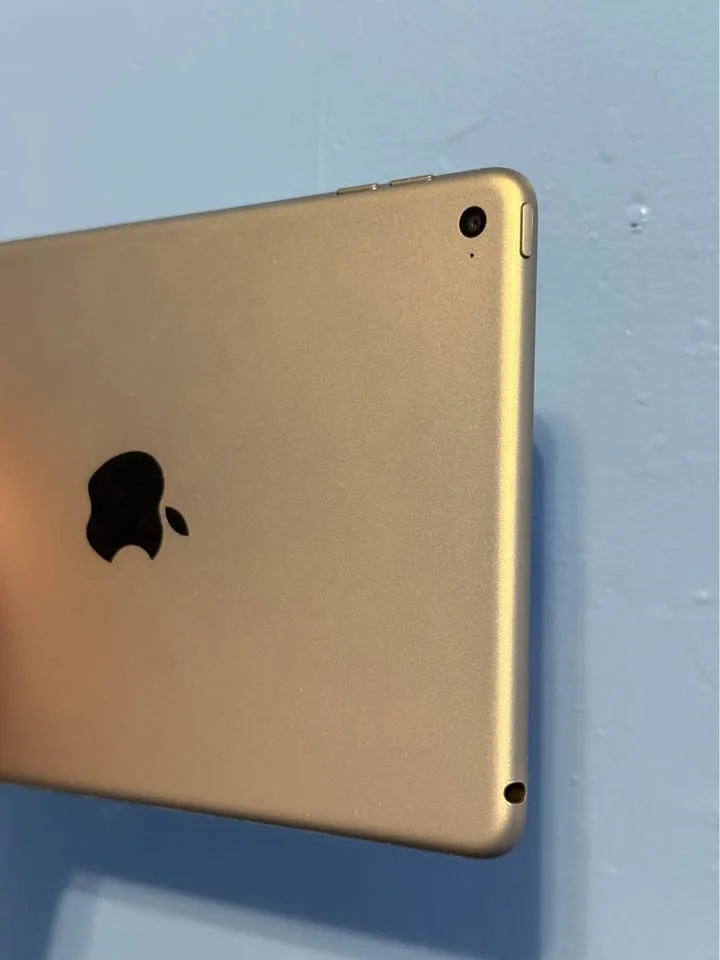 iPad mini 4 128GB image indicator(5)