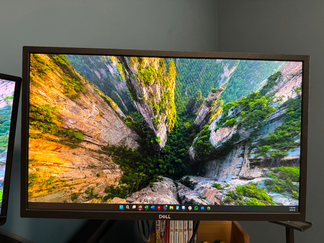 2 Dell Monitor for $60 each