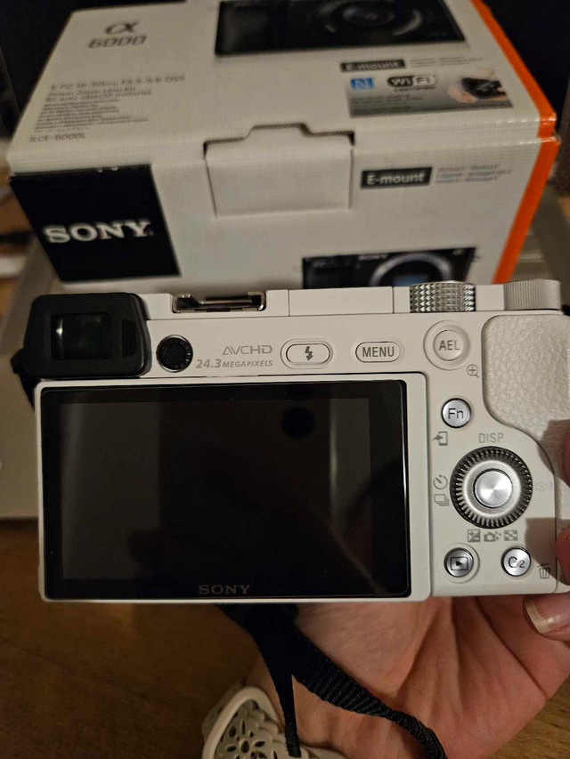 Sony A6000 with Kit Lens - photo 4
