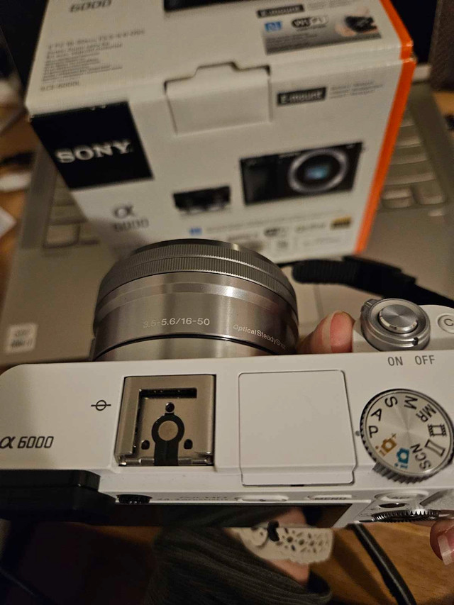 Sony A6000 with Kit Lens - photo 5