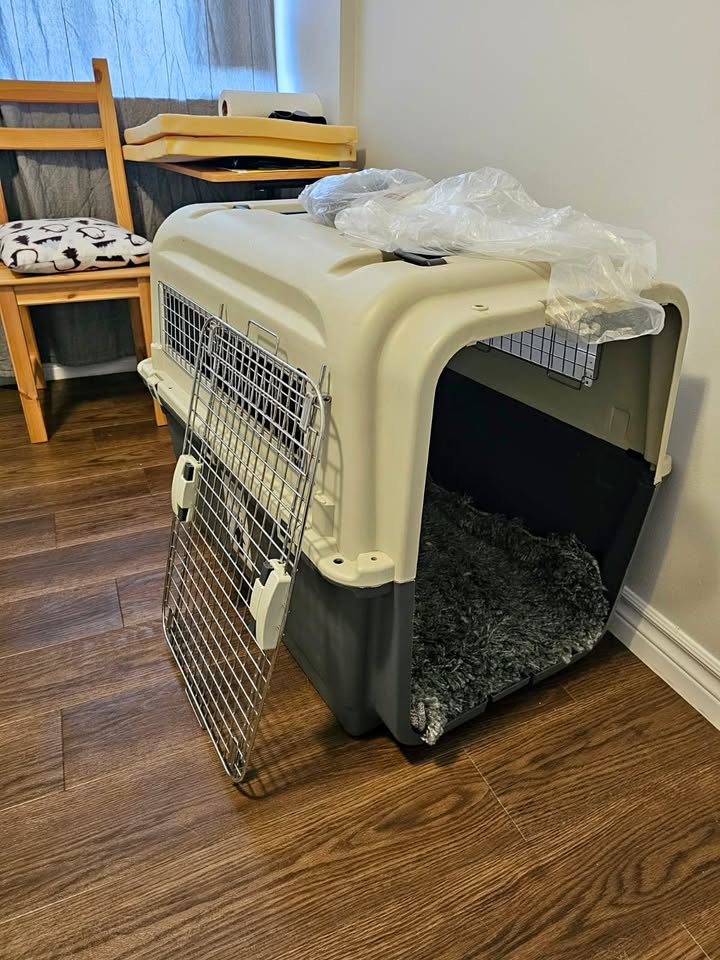 Medium to large dog crate