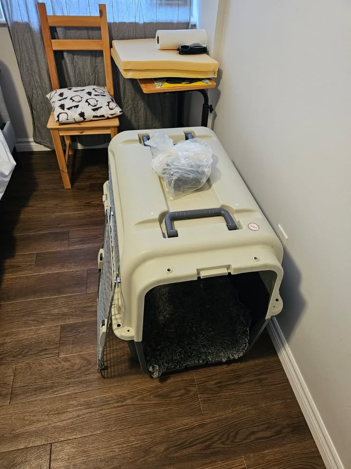 Medium to large dog crate - photo 3