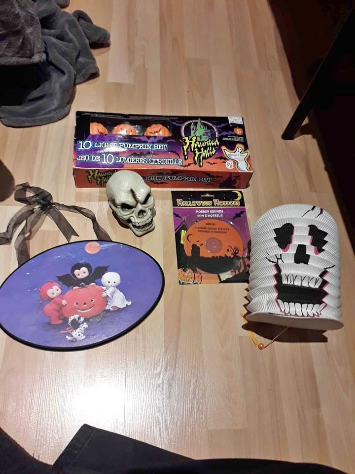 Halloween decorations lot