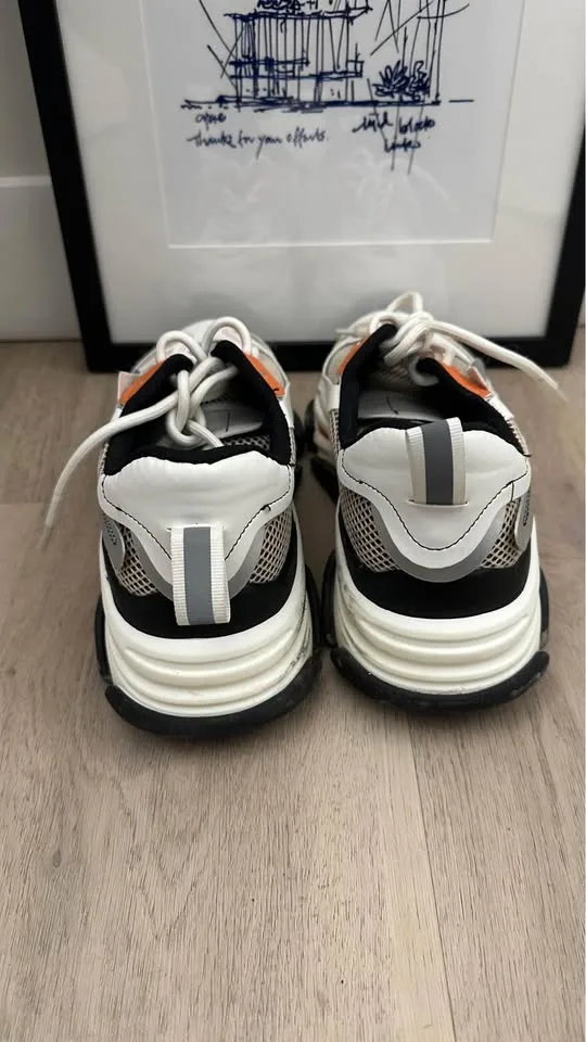 Steven Madden Sneakers White/Grey Size 8 image indicator(3)