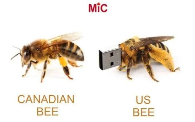 STEAM / PC Games (Unused Codes) $5-20 image indicator(5)