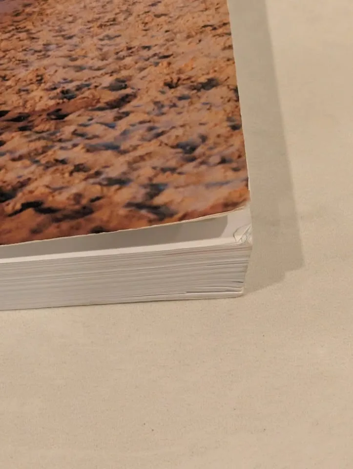 Lonely Planet Sicily Travel Guide image indicator(2)