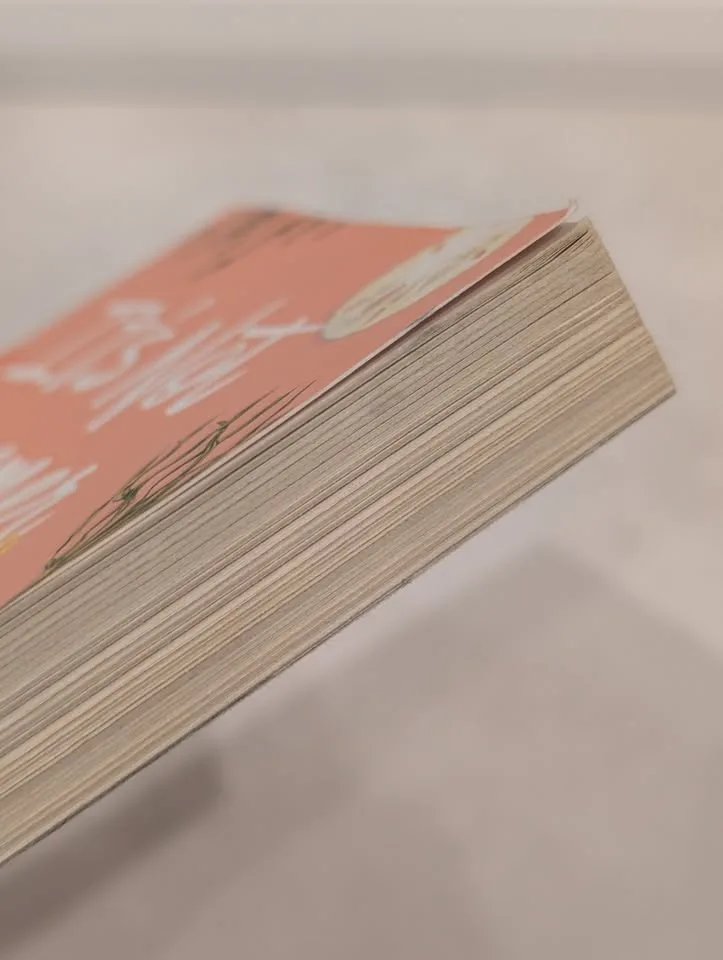 Summer I Turned Pretty: It's Not Summer Without You Book image indicator(5)