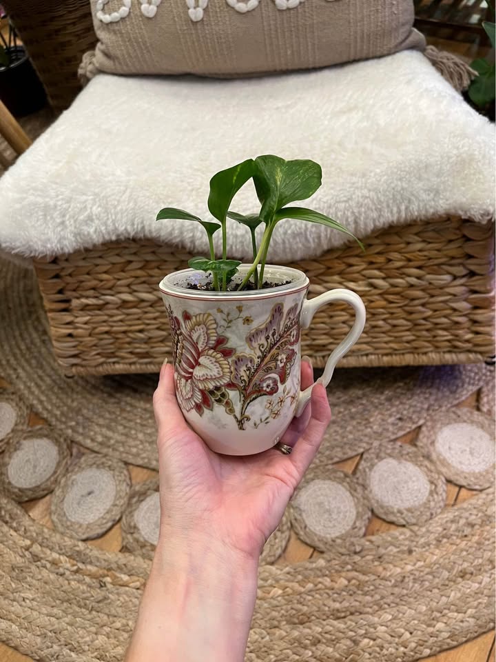 Golden Pothos in unique Mug - photo 3