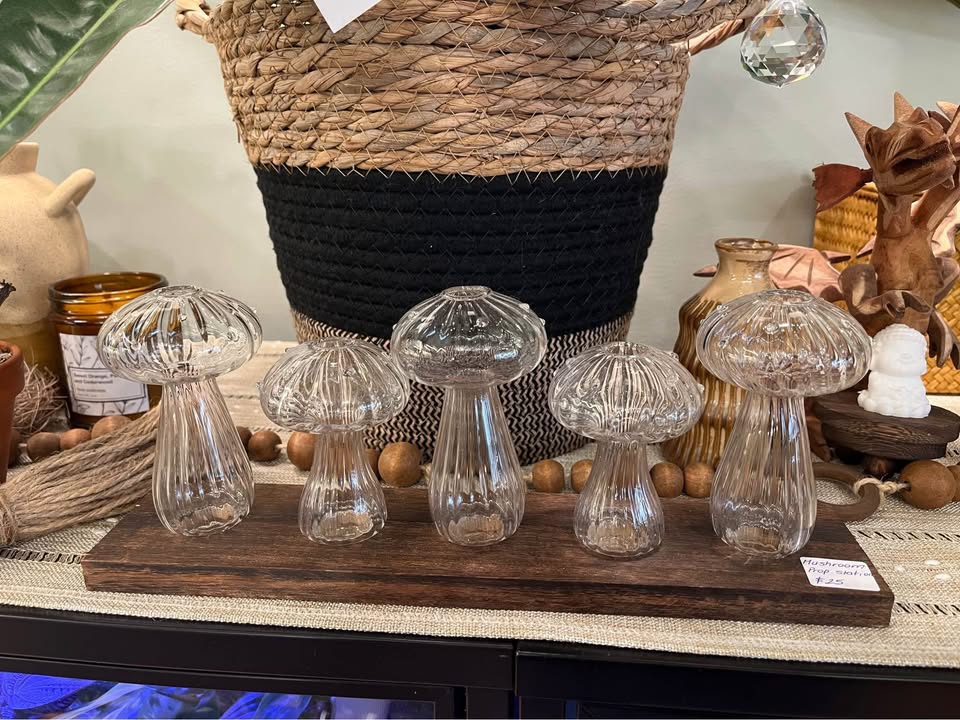 Glass Mushroom Propagation Sets