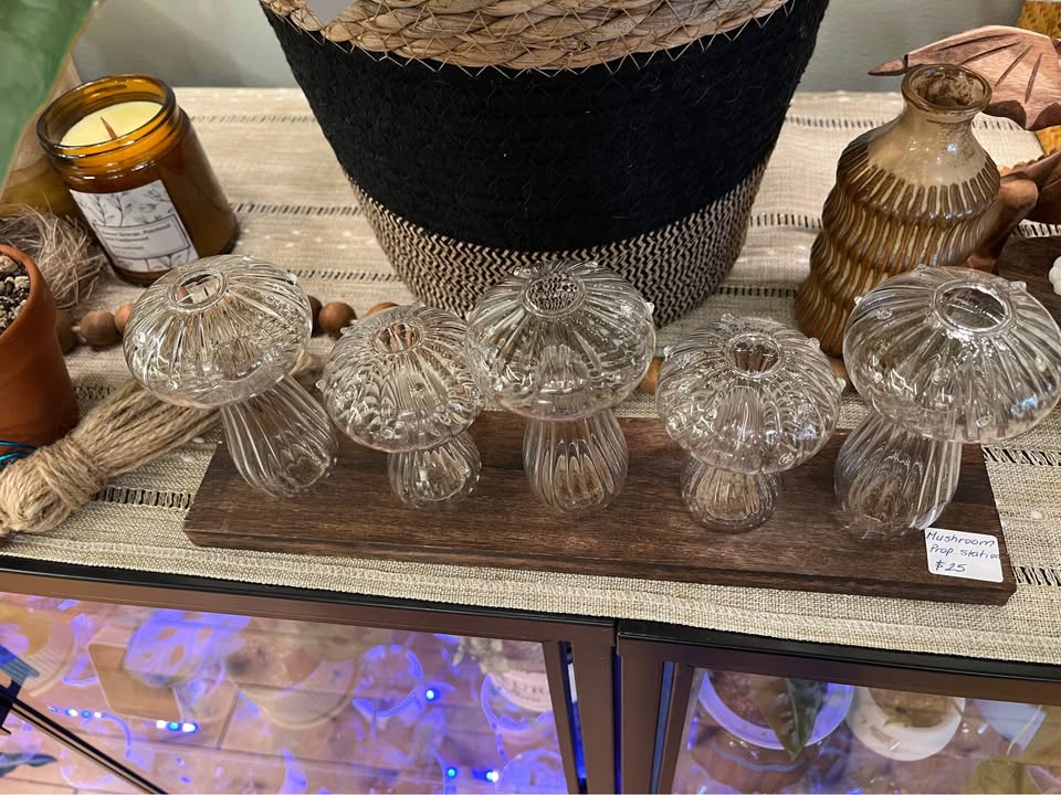 Glass Mushroom Propagation Sets - photo 2