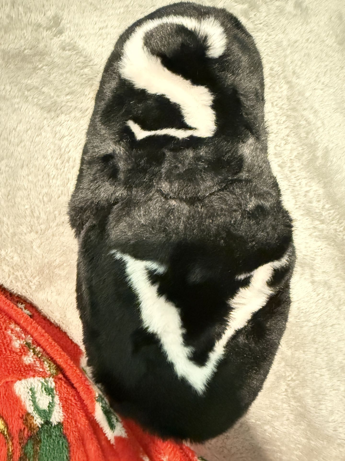 Victoria’s Secret Slippers - photo 2