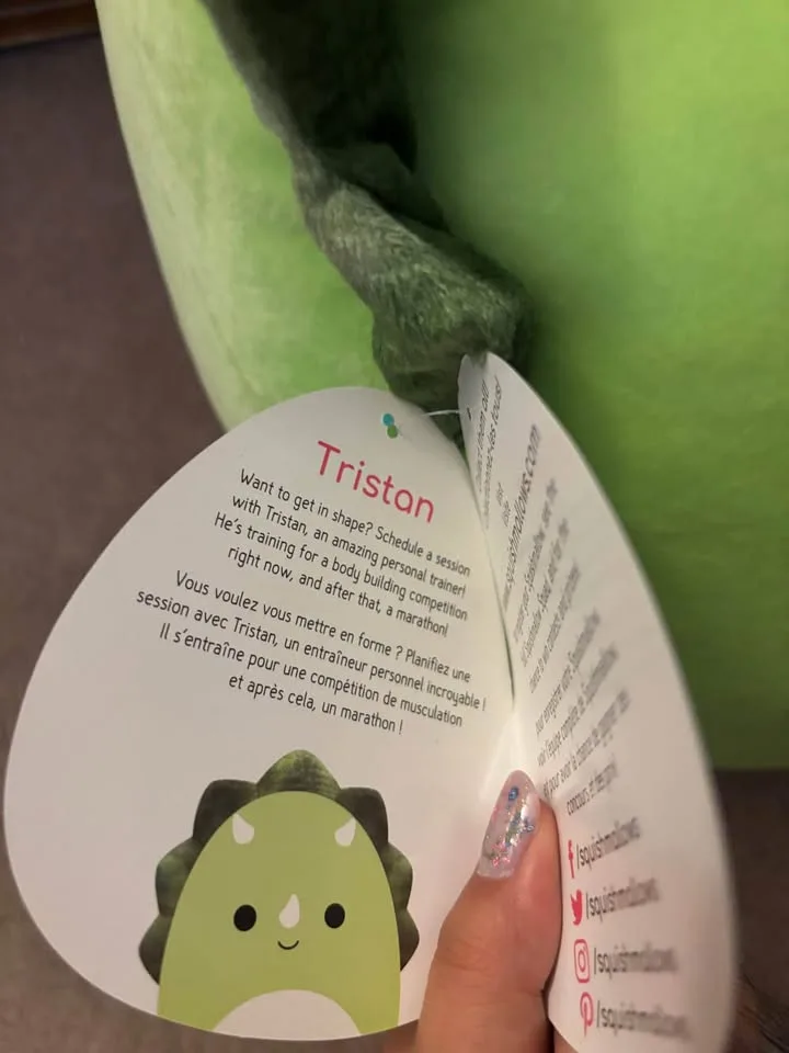 dinosaur squishmallow image indicator(2)